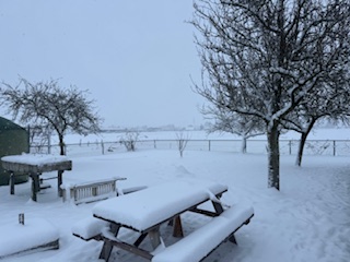Winter op de zorgboerderij