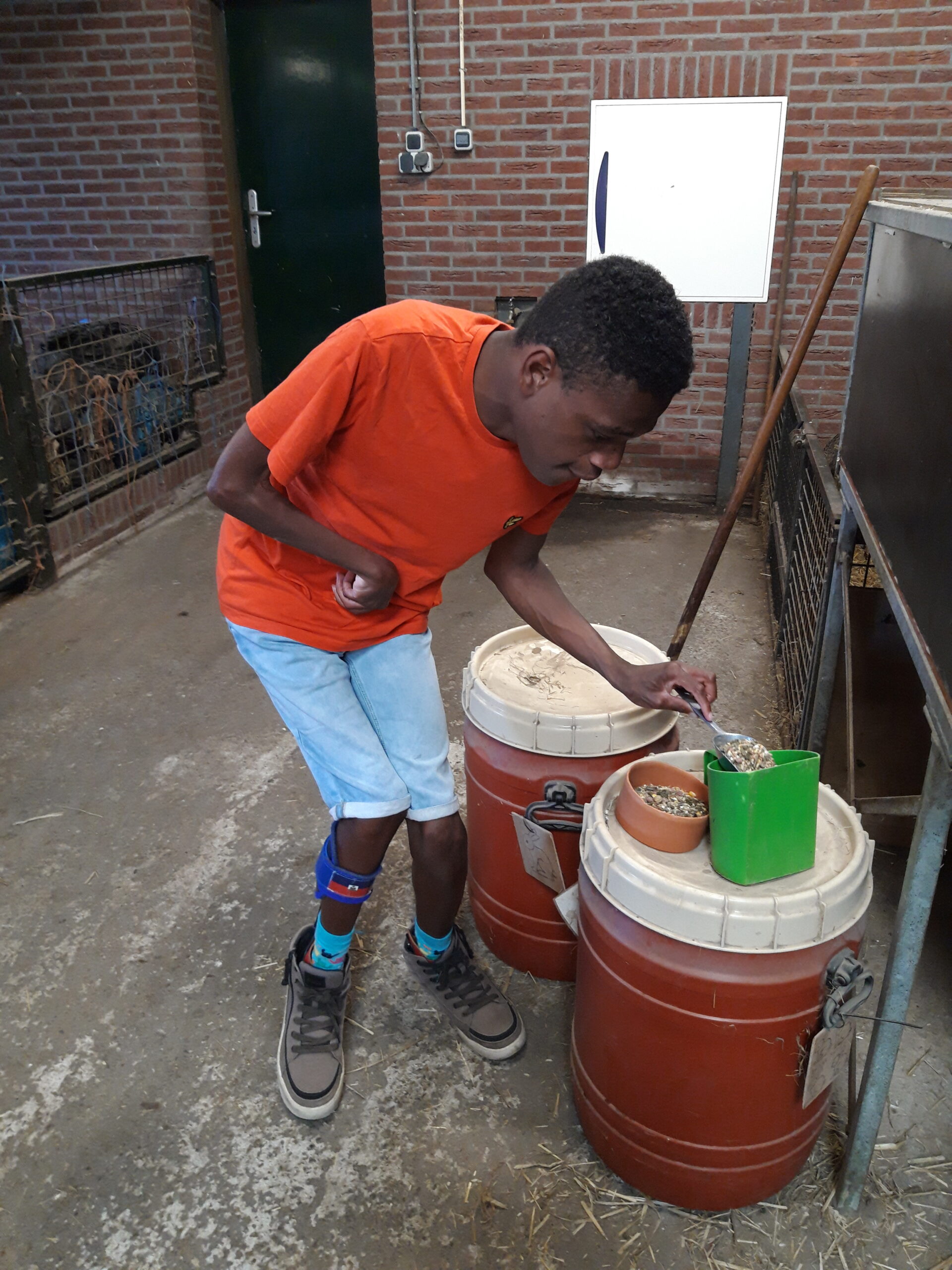 Jephté bezig met konijnen voeren