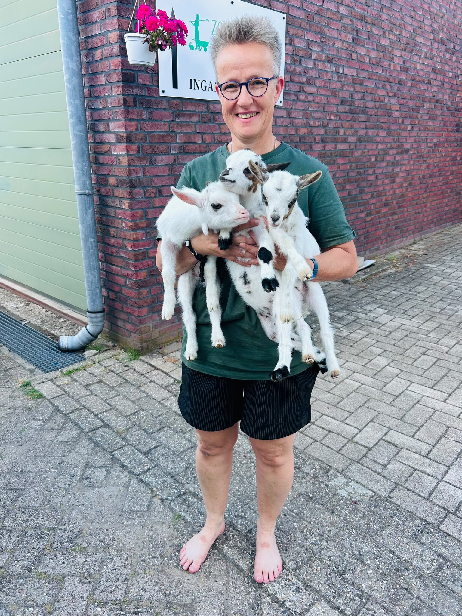 Drie schattige geitjes