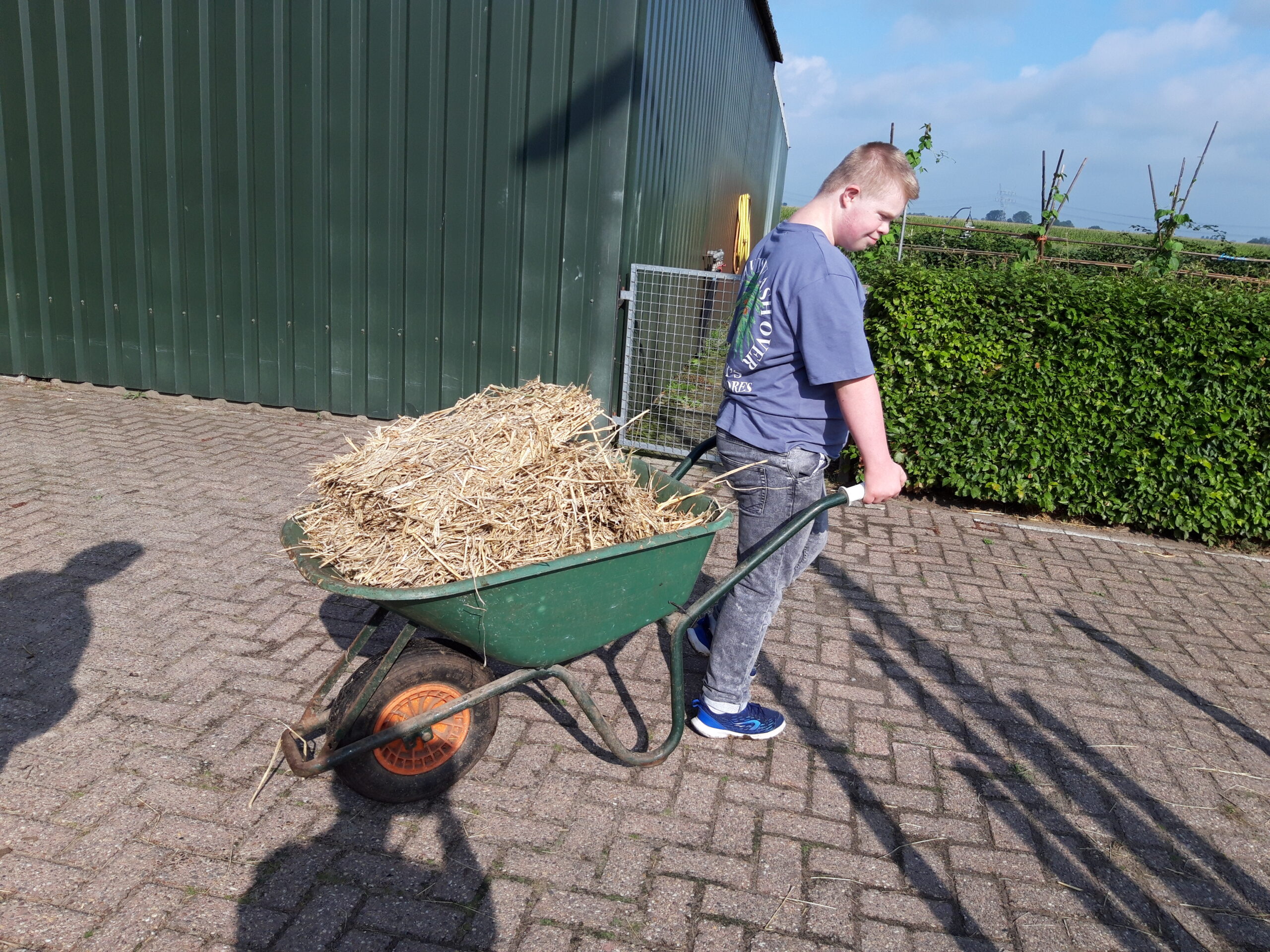 Thomas ruimt mest op
