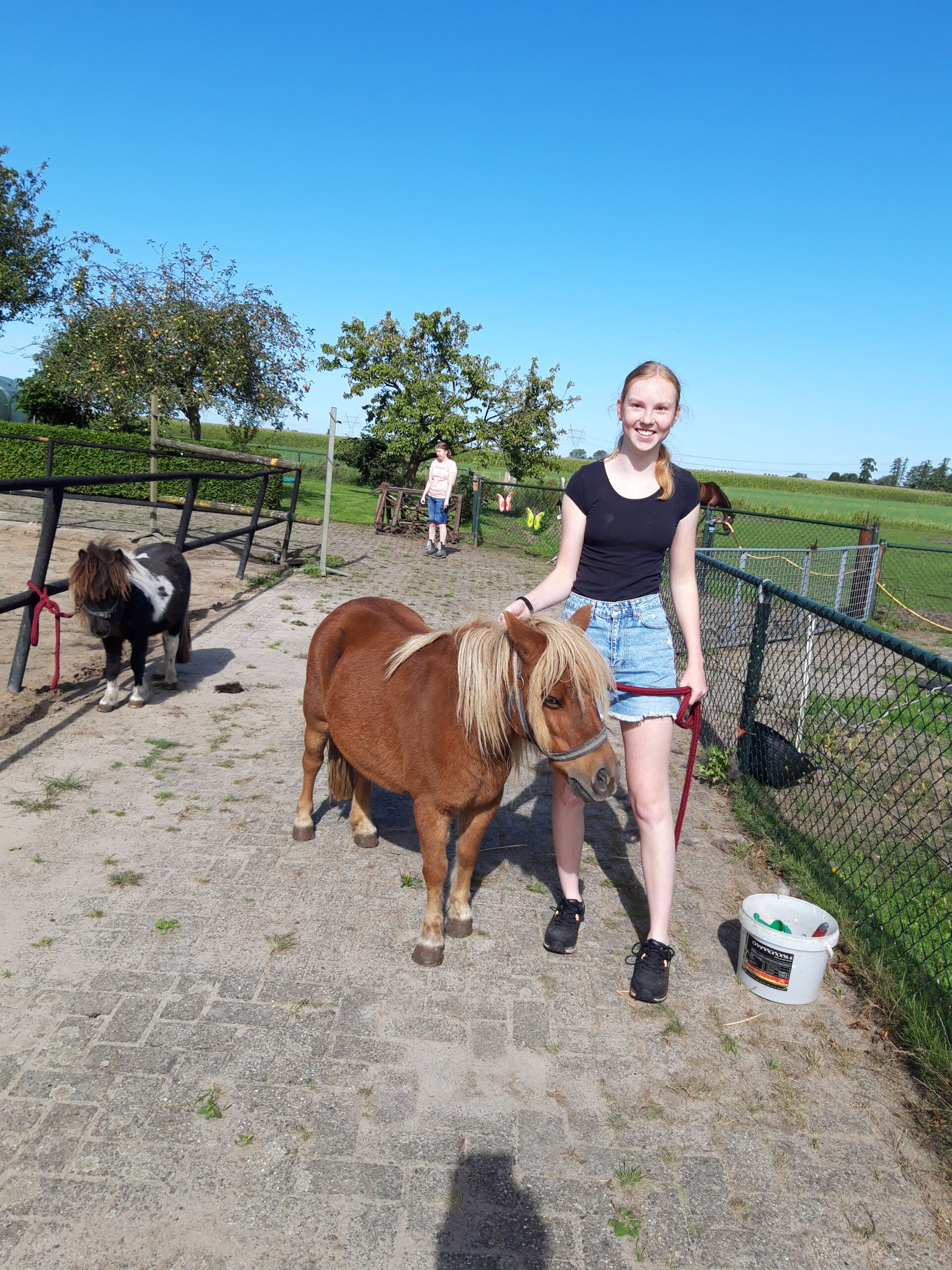 Corine verzorgt de pony