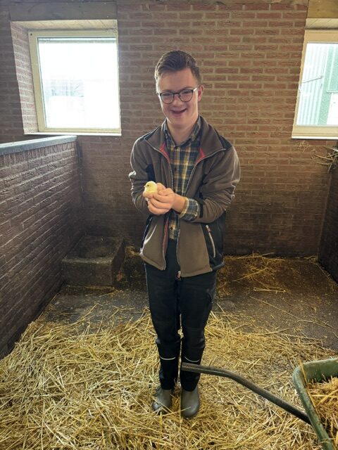 Dat is een lief kuikentje