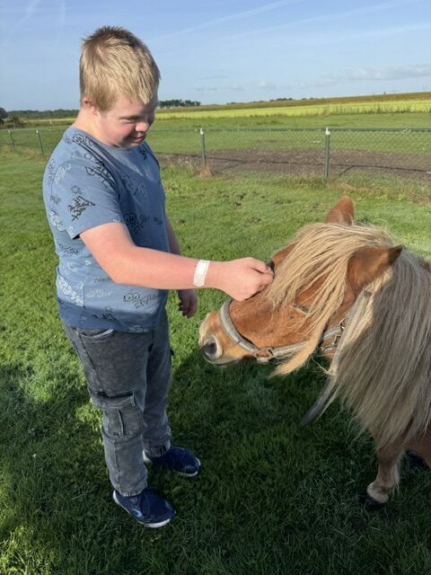Thomas aait een pony